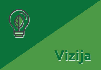 Vizija